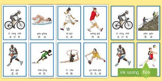 火箭队内最高效，最稳定的球员是谁？