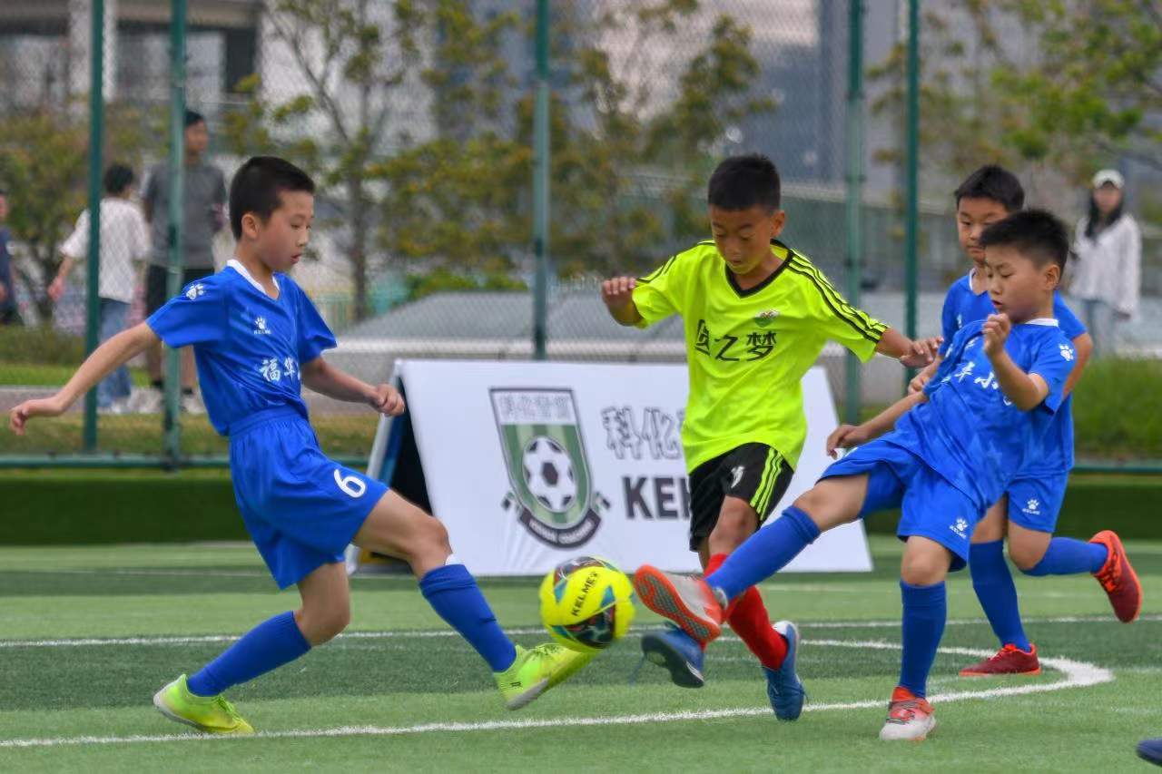 东内拉的生 东内拉的生